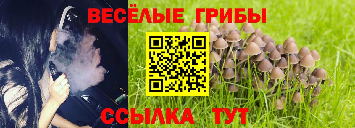 Псилоцибиновые грибы ЛСД Малоярославец